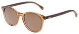 SIN Risky Business Clear Brown w/ Brown Polarised